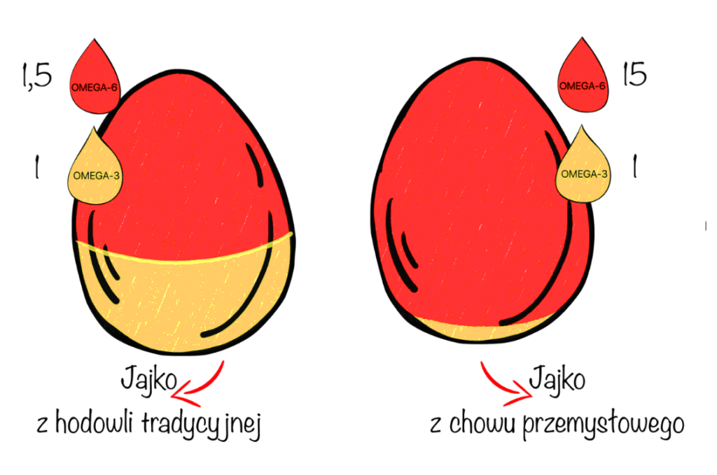 jajka